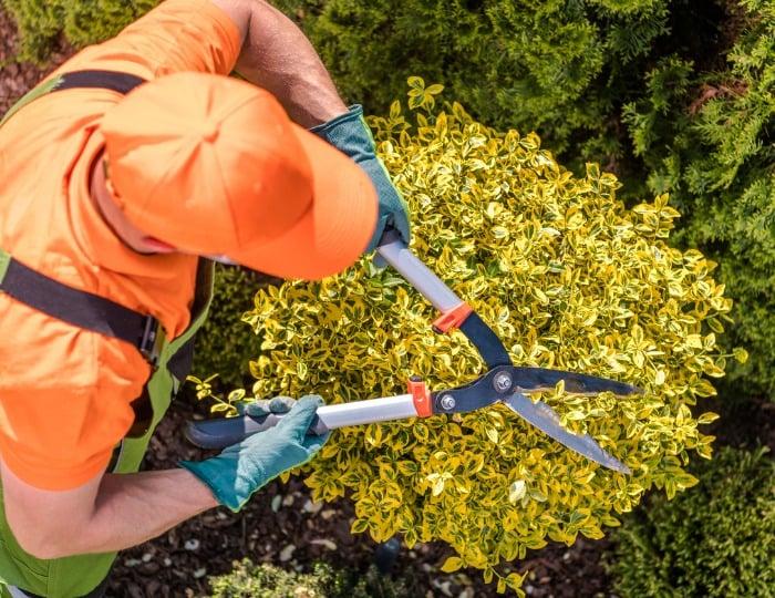 Best SingleOps Alternatives