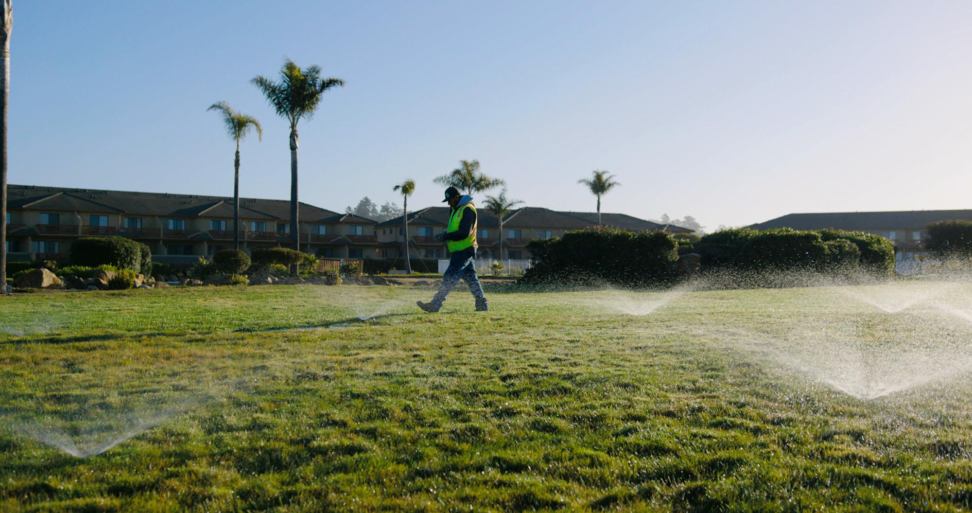 Top Trends in Landscaping 2025: How PropertyIntel Helps You Stay Ahead